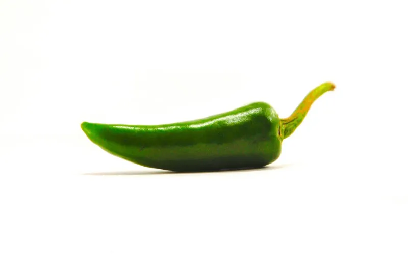 A single green chili pepper on a white background