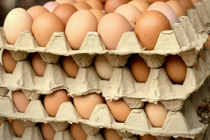 Stacked cardboard trays of brown eggs