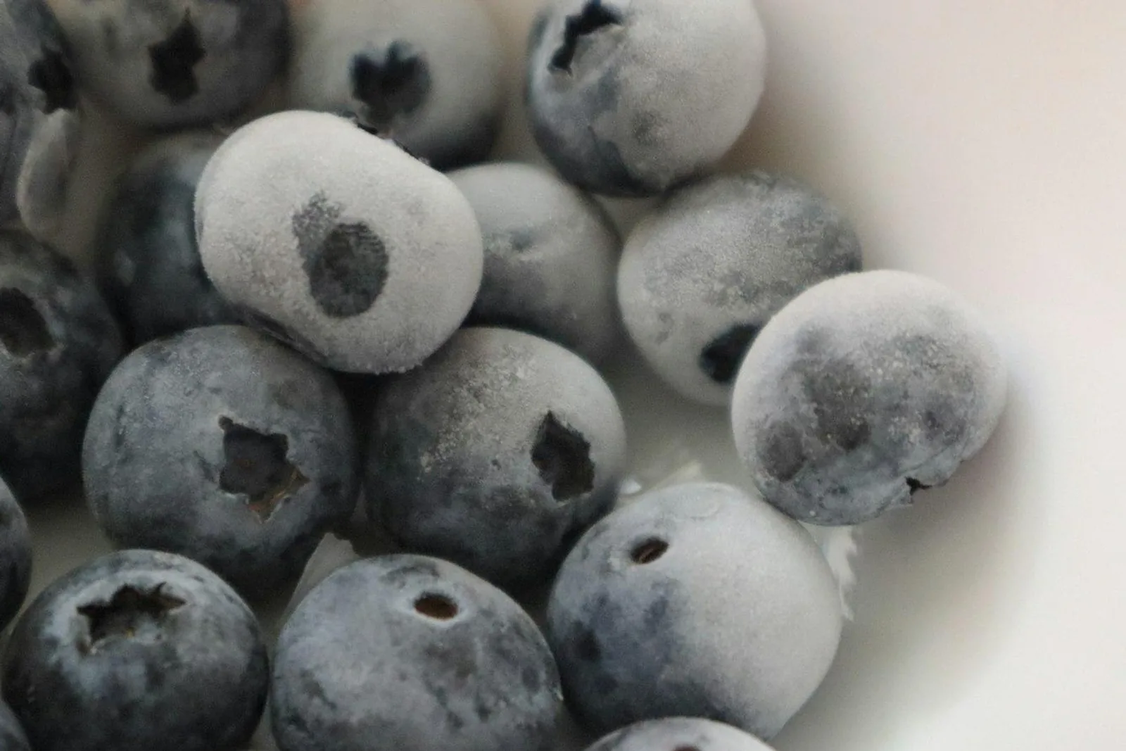 Frost-covered frozen blueberries in a white bowl